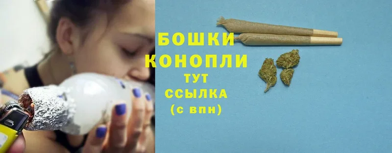 как найти   Уржум  Бошки марихуана SATIVA & INDICA 